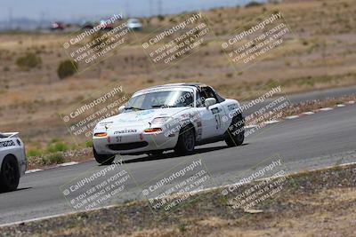 media/May-03-2025-Lucky Dog Racing (Sat) [[206de64b9d]]/Turn 6 (150pm-230pm)/